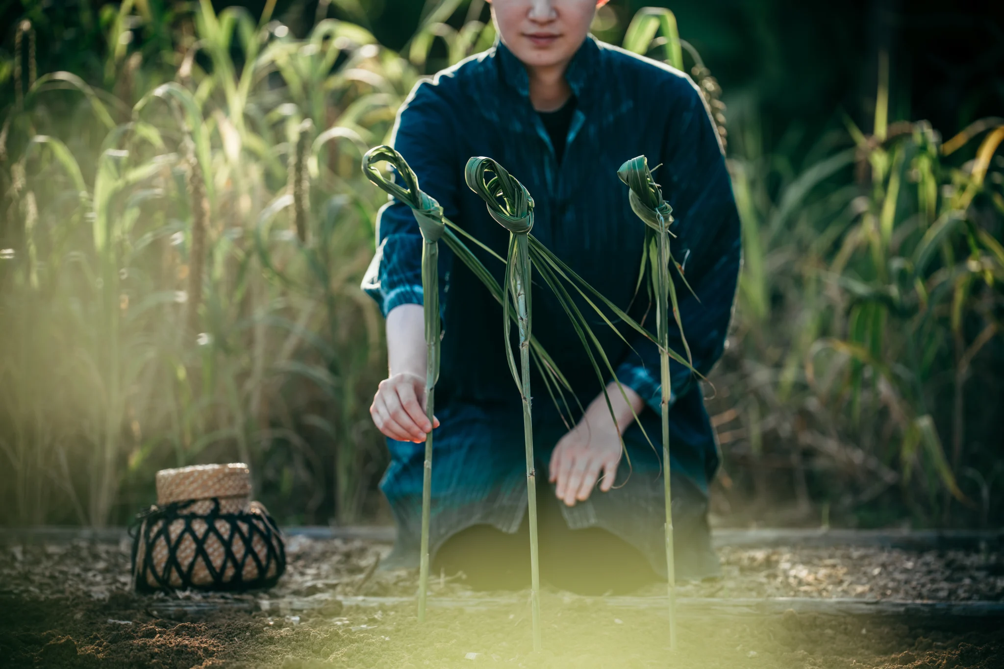祭事、文化、伝統を五感で愉しむ秋の島旅 - 星のや竹富島 | 星野