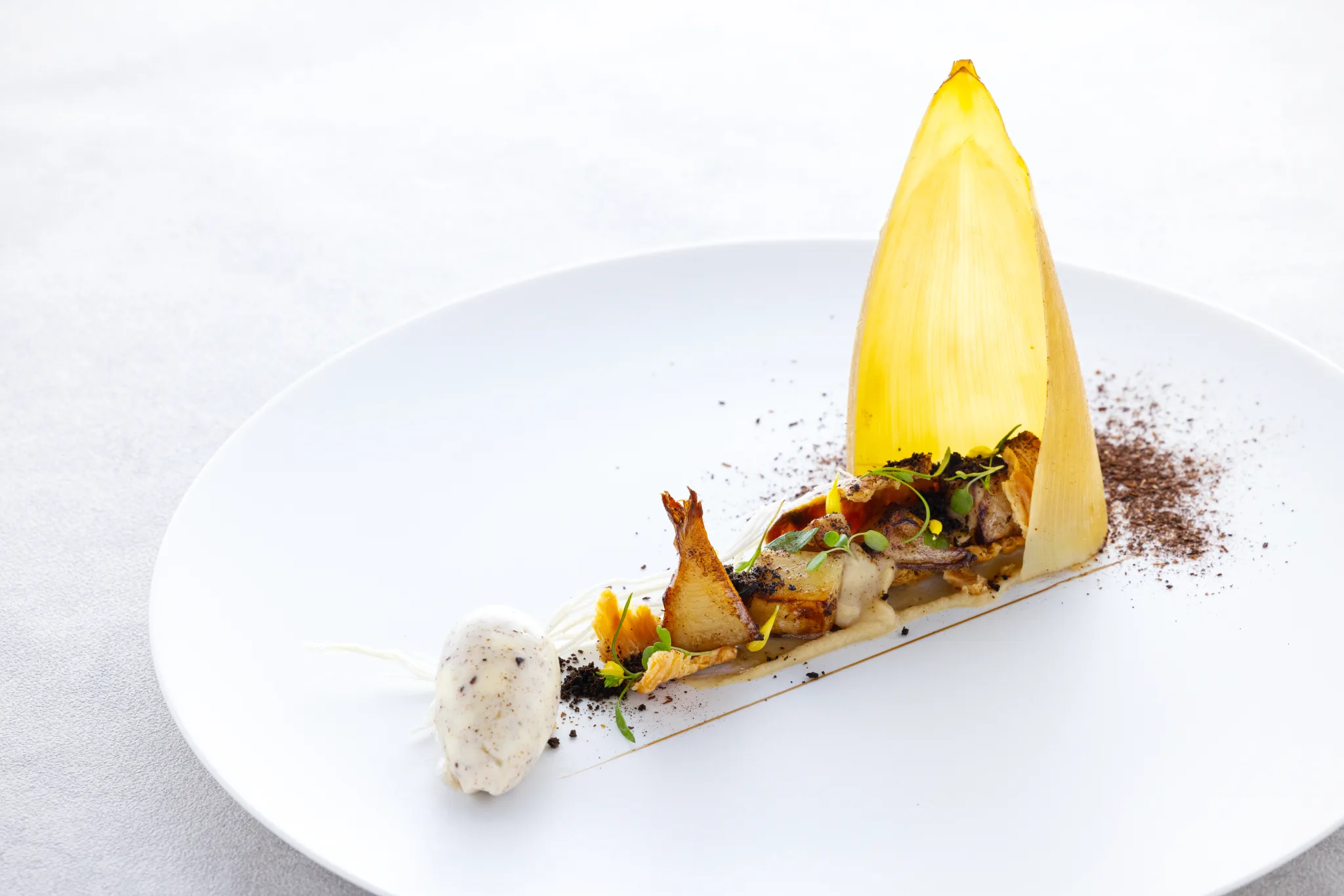 ブレストンコート_ユカワタン_筍