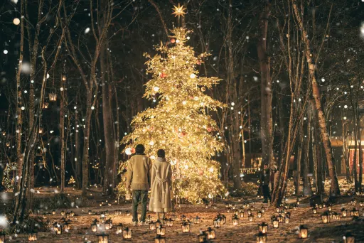 星降る森のクリスマス - 軽井沢星野エリア | 星野リゾート【公式】