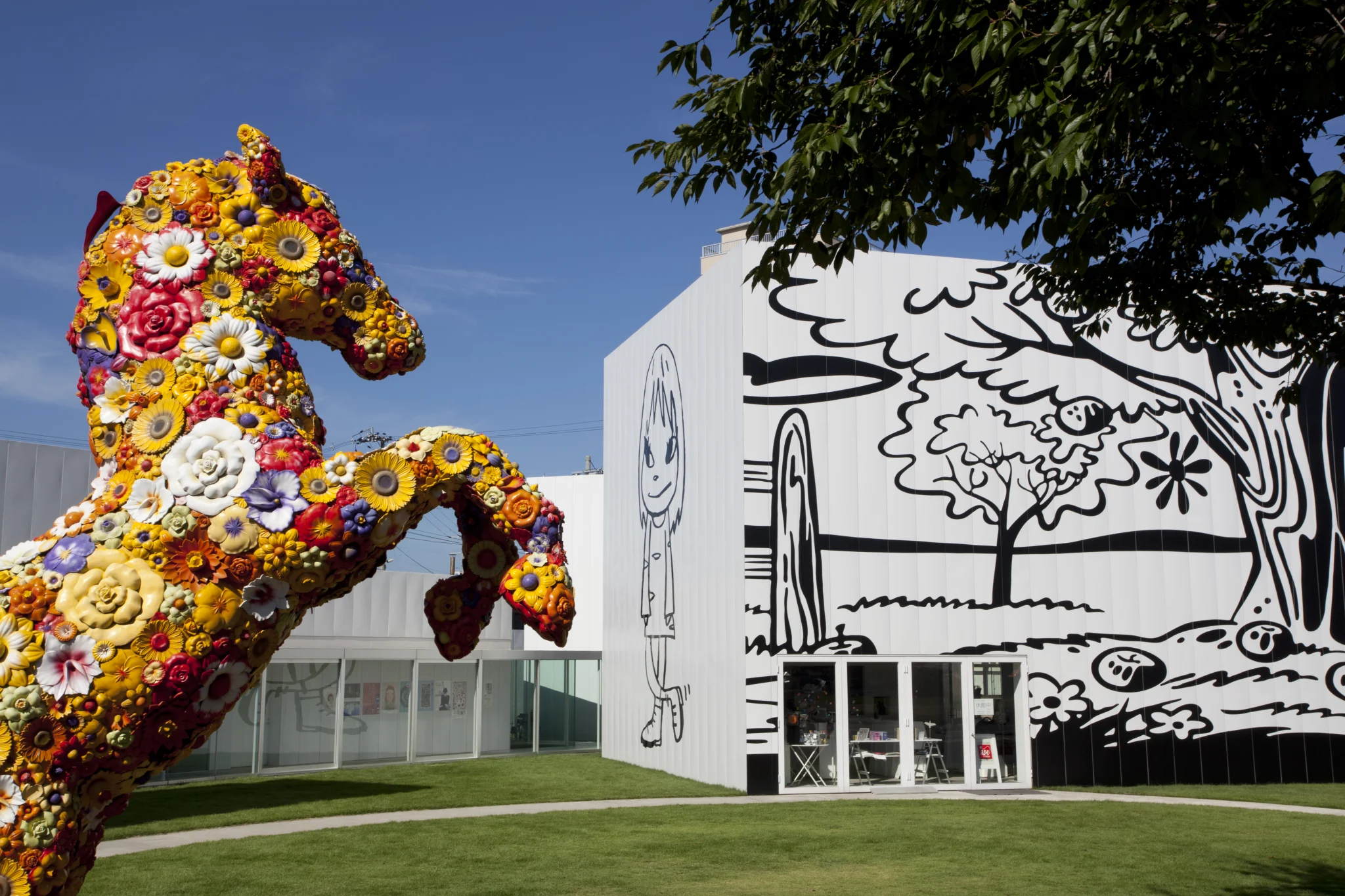 IMG_9564_vsgiv6.webp