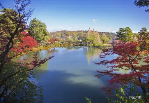 紅葉とトンボのリトグラフ 紅葉とトンボのリトグラフ