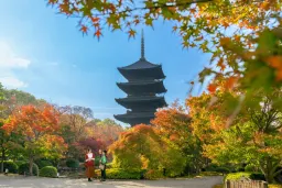 世界遺産「東寺」を巡る秋の京都ひとり旅 - OMO3京都東寺 | 星野
