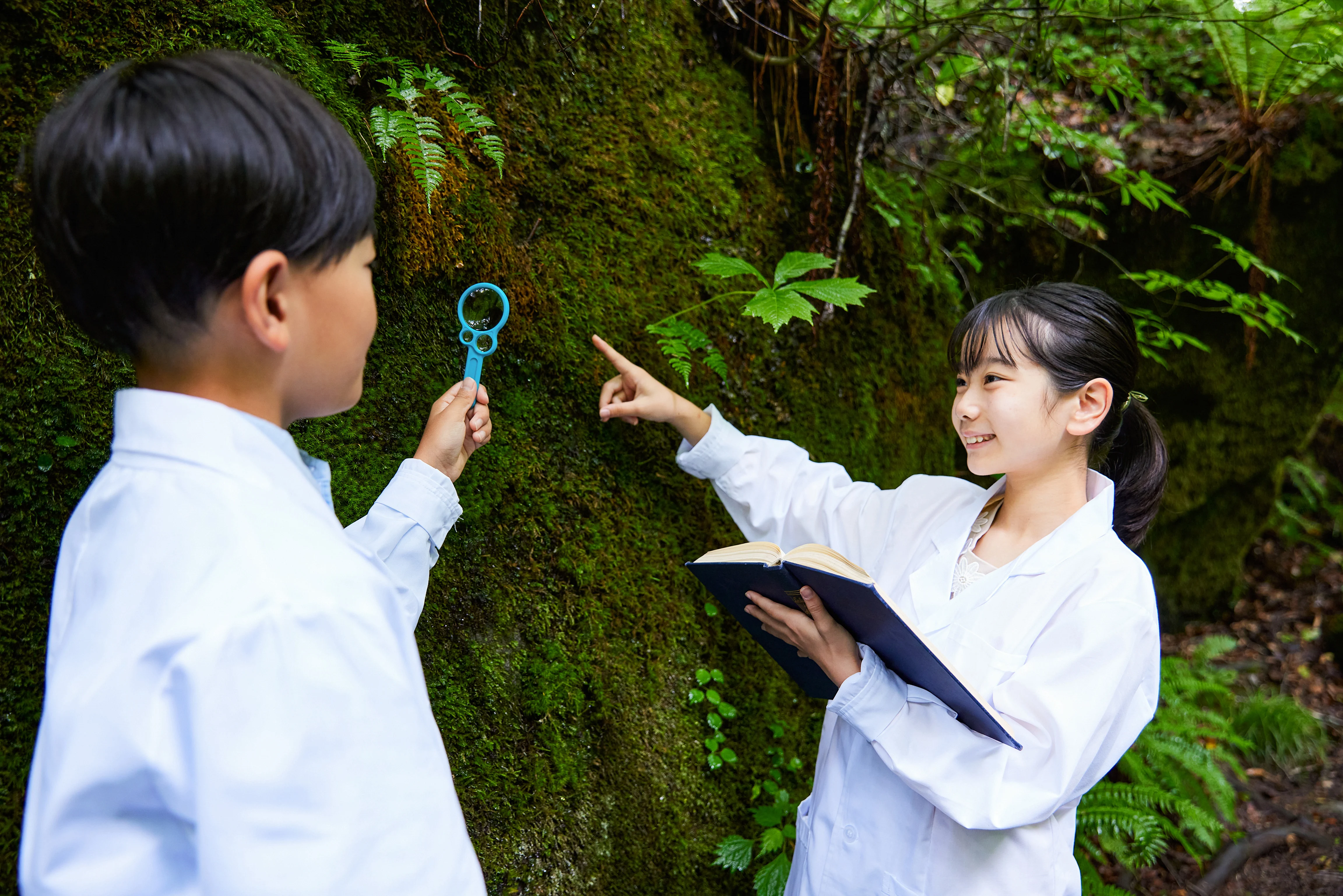 コケまる　14種21点 コケズカン | 小さなコケの世界を旅しよう | コケ観察セット