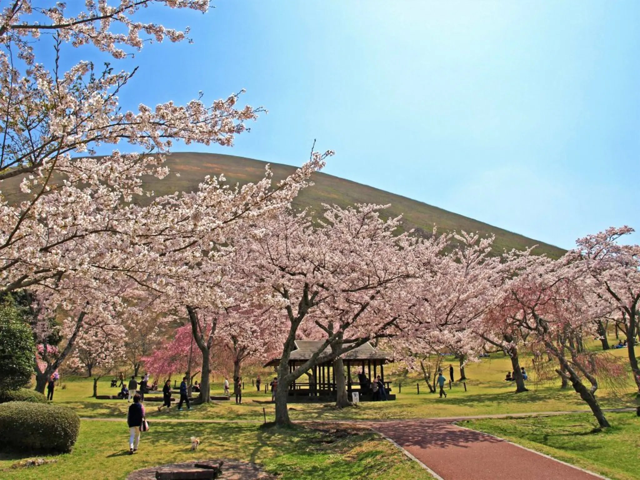 sakuranosato_04-