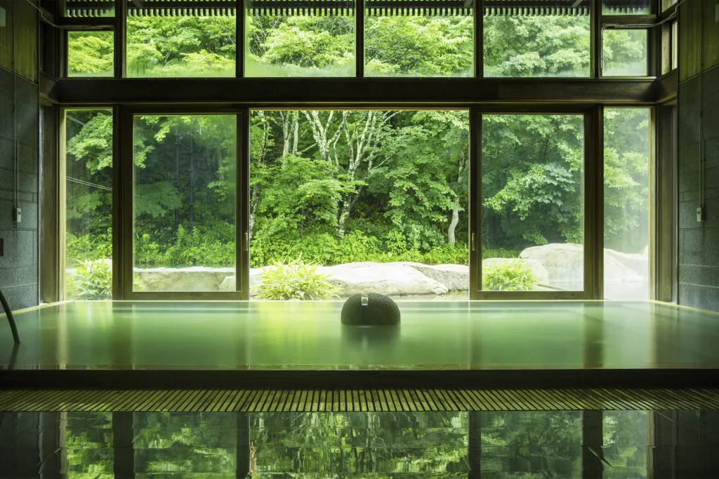星野温泉_トンボの湯_内湯_緑