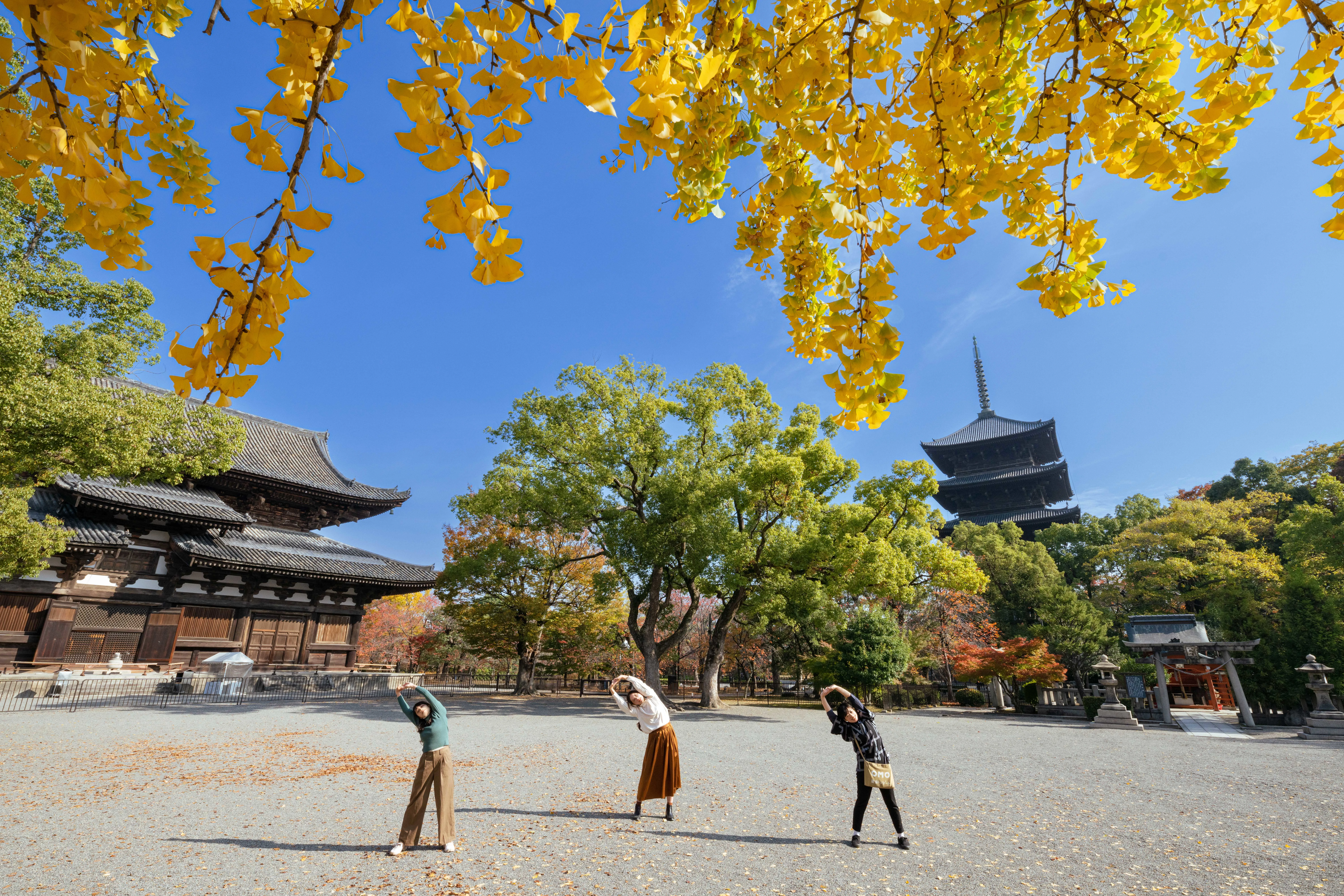染まる秋の京都ひとり旅 - OMO3京都東寺 | 星野リゾート【公式】