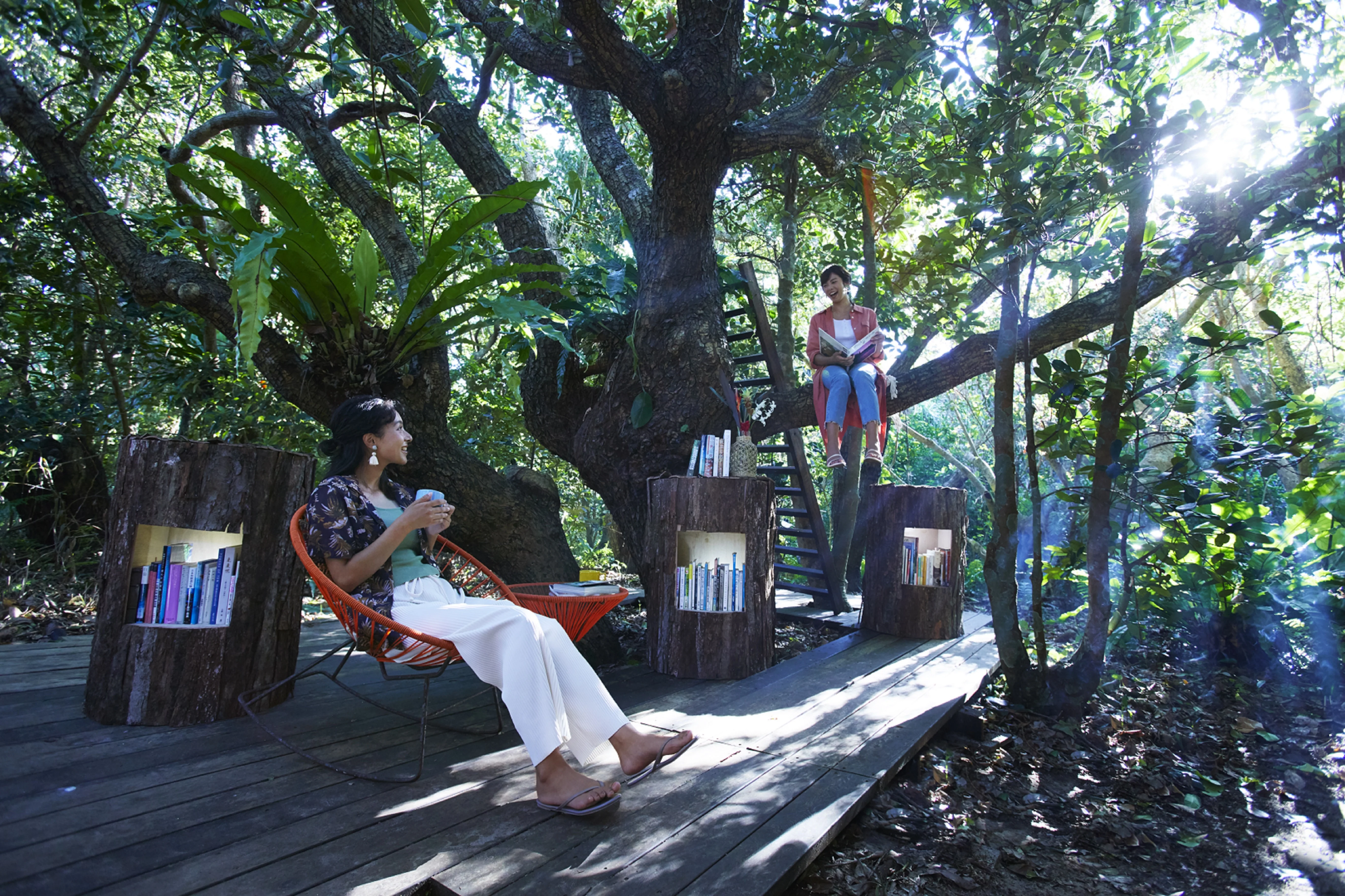 西表島ホテル_ジャングル