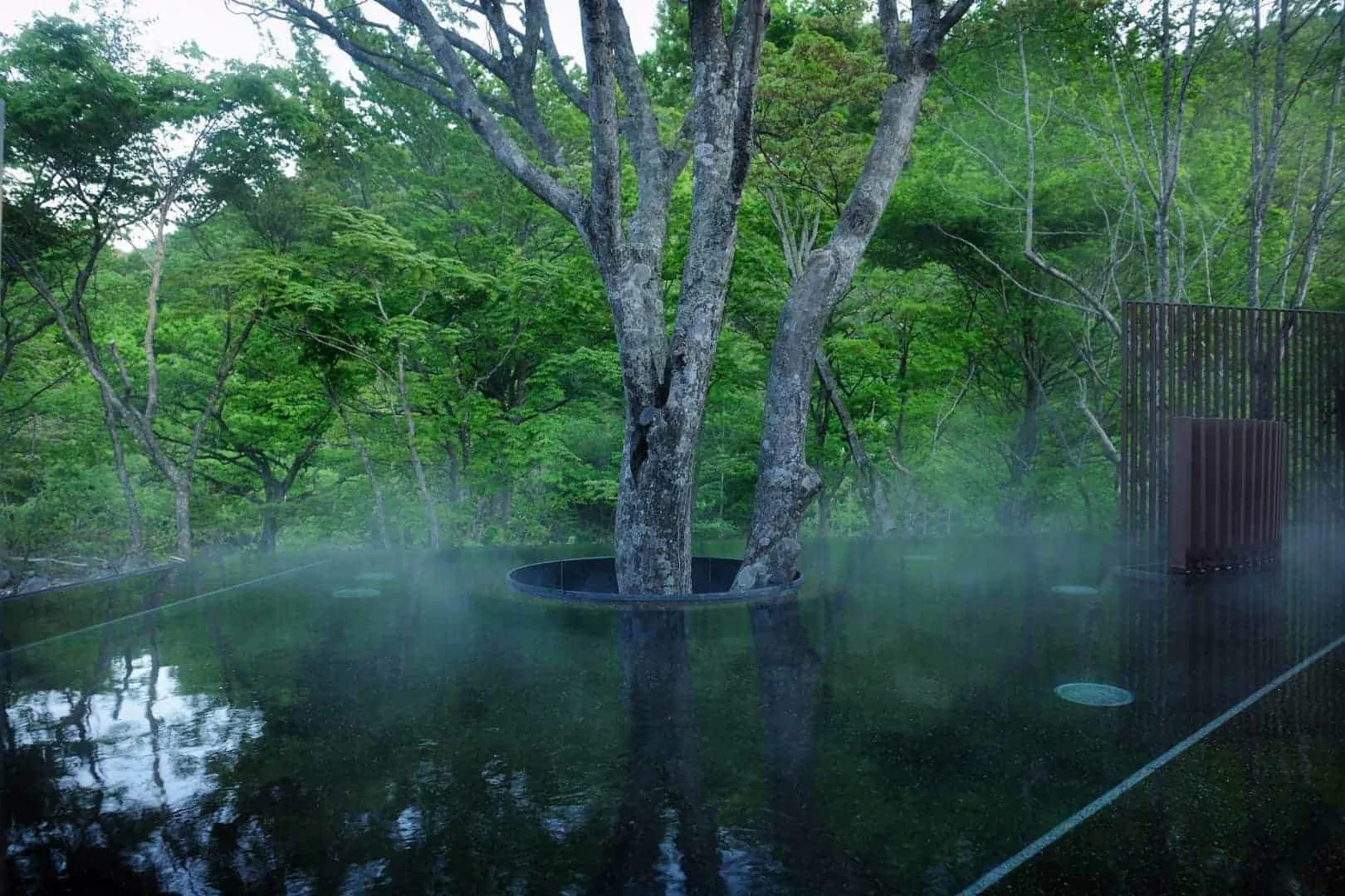 oirase_pg_bath_002-1620x1080.webp