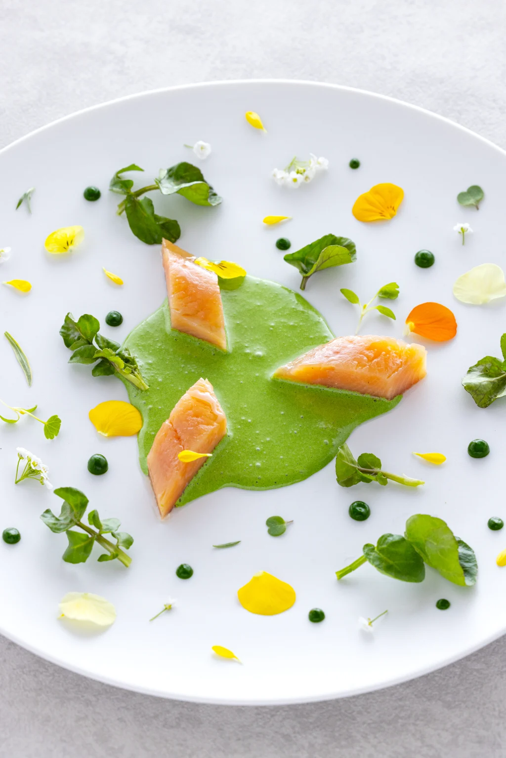 250212_yukawatan_39_ヒメマスの