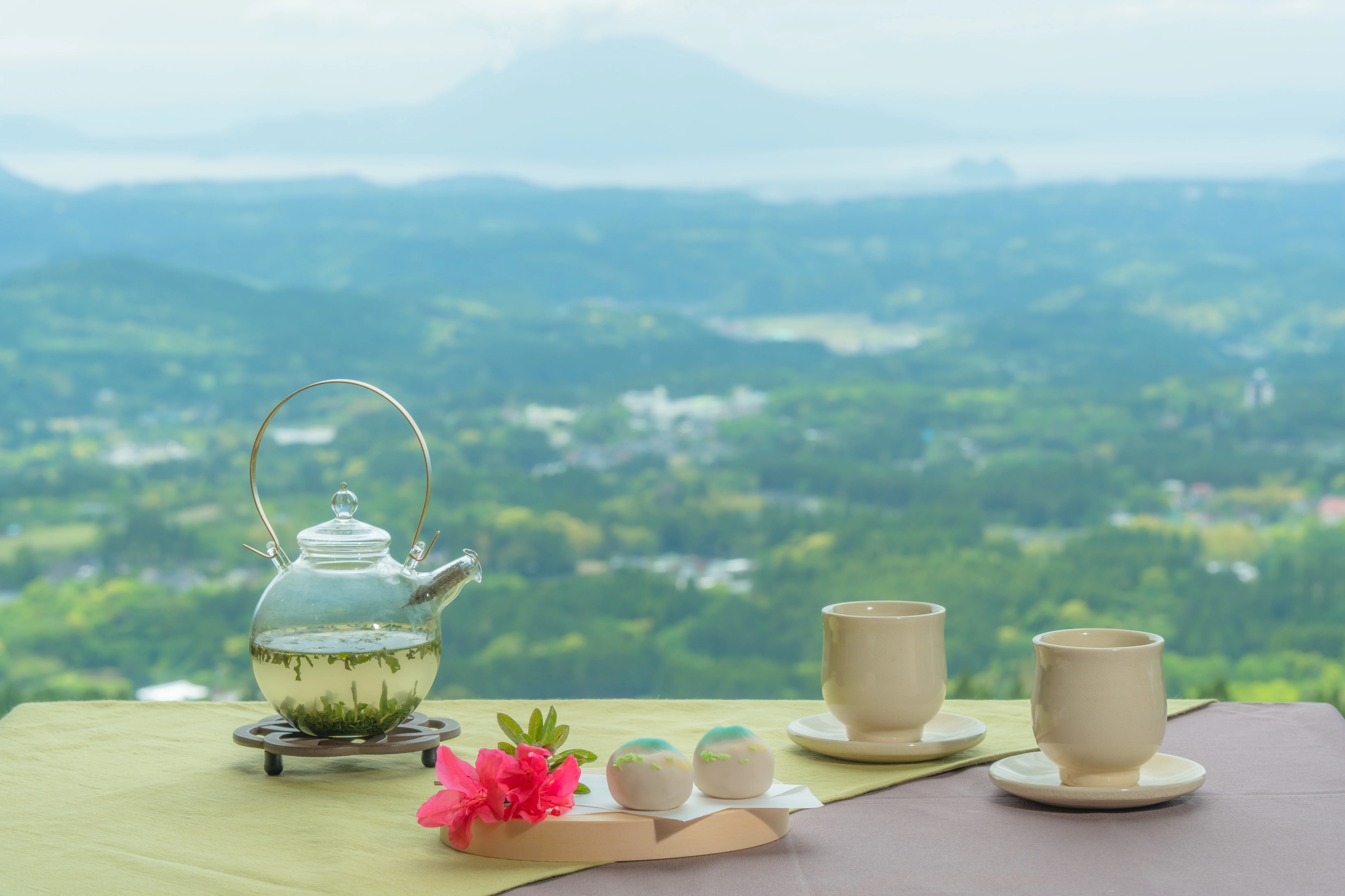 絶景と霧島茶を楽しむ - 界 霧島 | 星野リゾート【公式】