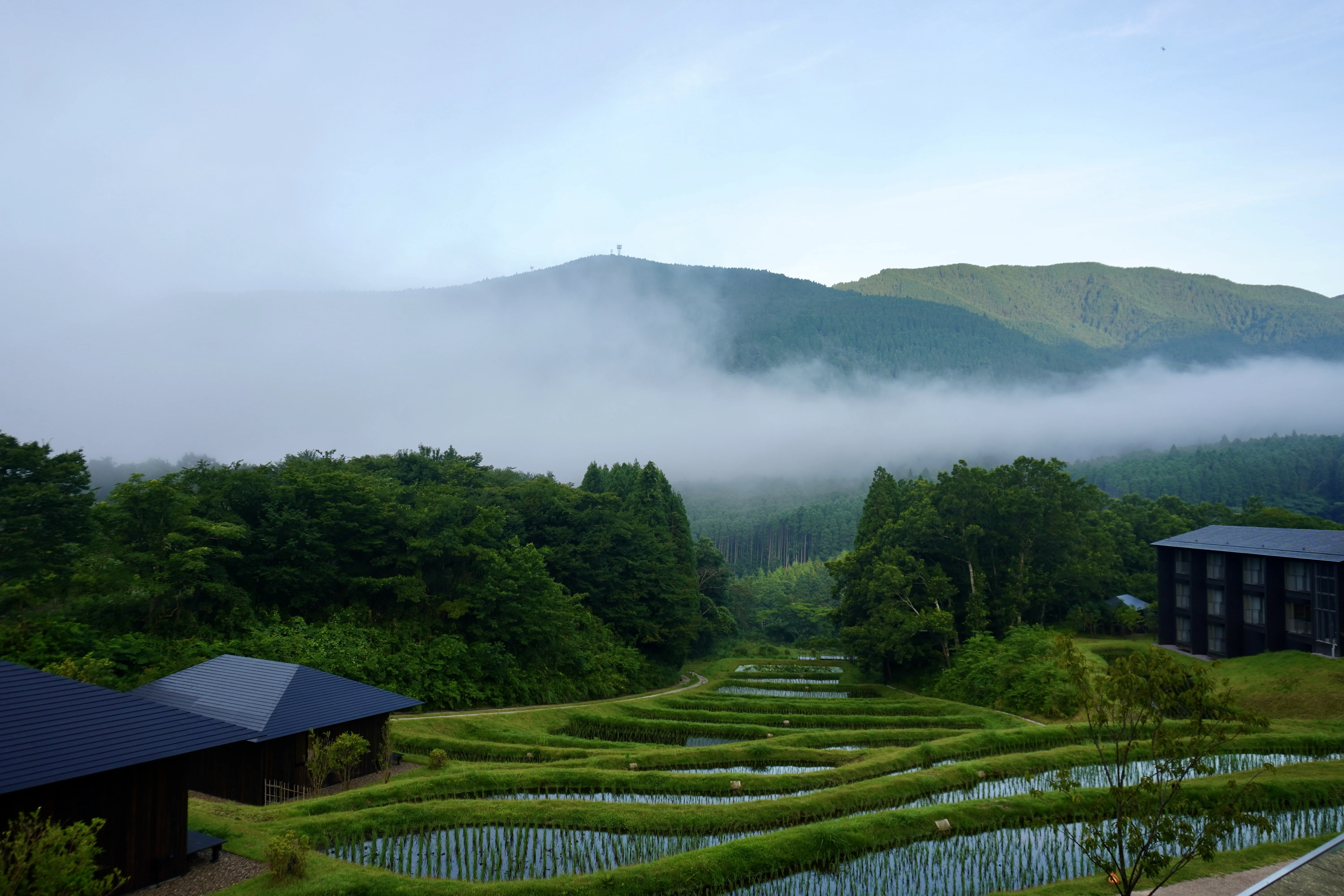 朝霧に包まれた田園に、ぽつんとひとり佇んで。「界 由布院」｜おひとりプロデューサー まろさん