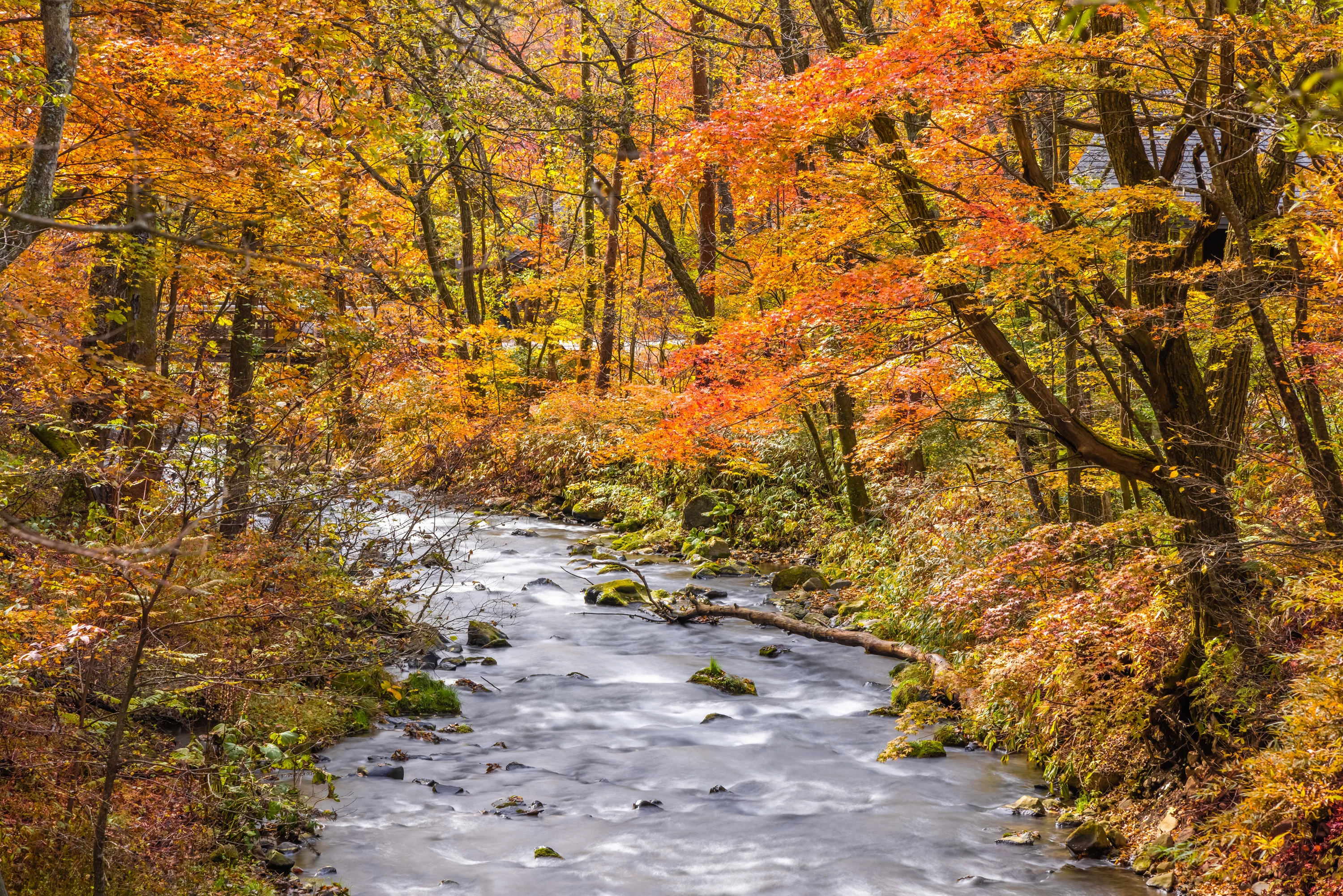 軽井沢星野エリア】星野リゾート生誕の地で110周年を記念したSDGsツア