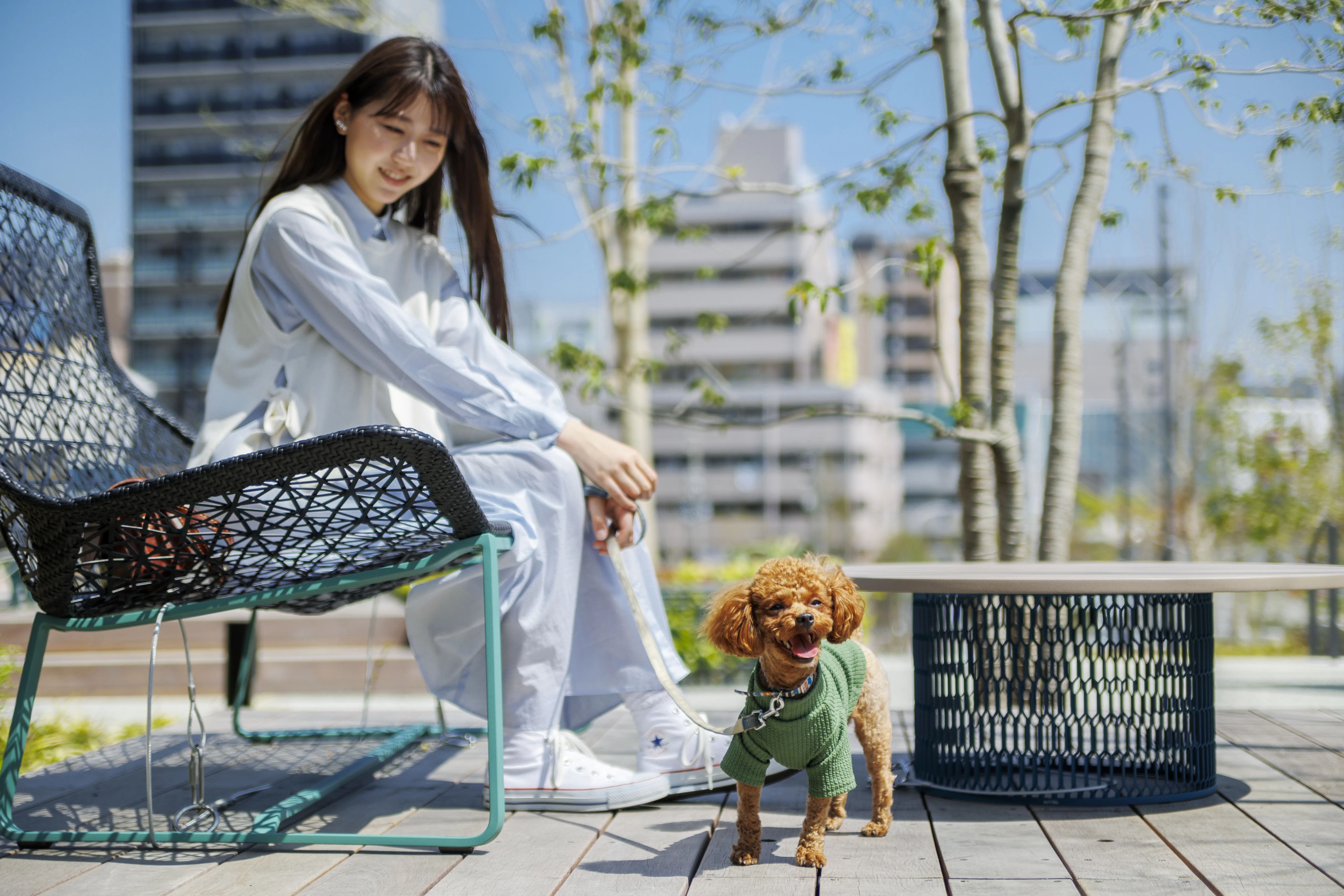 愛犬と一緒に楽しむ、春の大阪旅 - OMO7大阪 | 星野リゾート【公式】