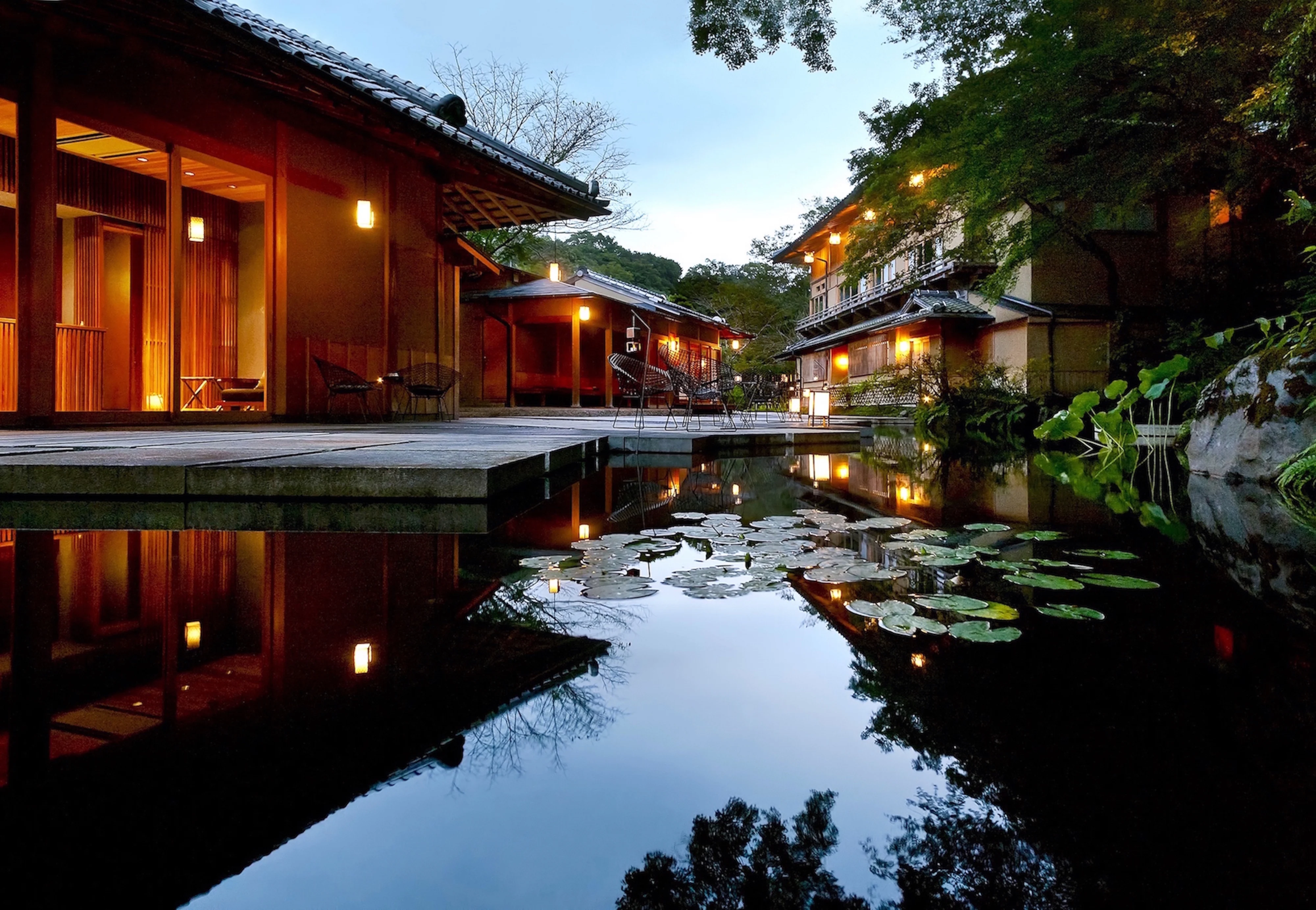 京都 星野 や