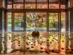 星野温泉_トンボの湯_りんご湯_