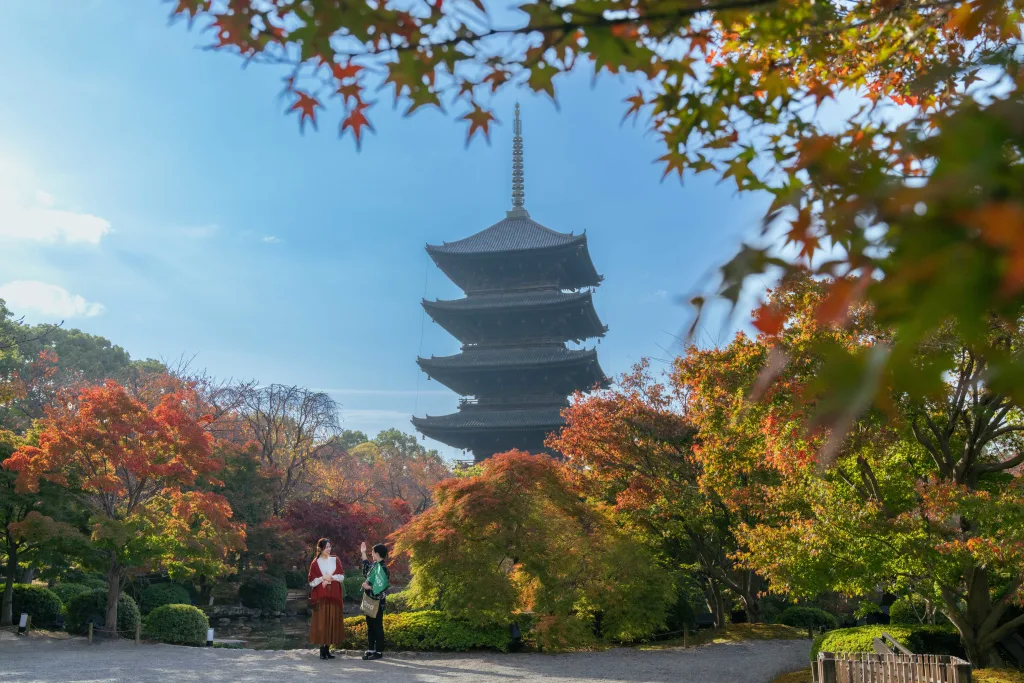OMO3京都東寺_東寺_紅葉_瓢箪池