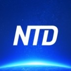 Freelance Breaking/Trending News Reporter