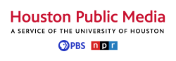 Audience Engagement Producer