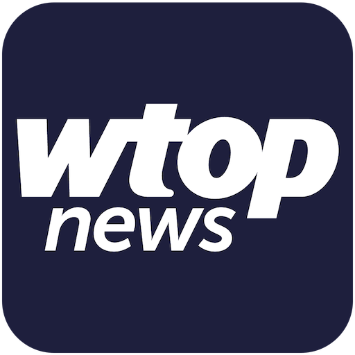 Reporter/Anchor, Freelance