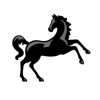 Assistant Content Manager