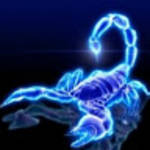 profile placeholder