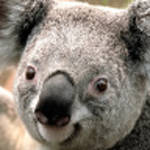 profile placeholder
