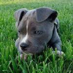 profile placeholder