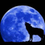 profile placeholder