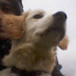 profile placeholder