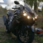 profile placeholder