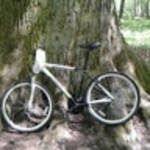 profile placeholder