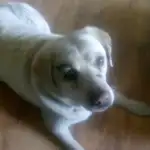 profile placeholder