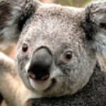 profile placeholder