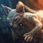 profile placeholder