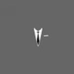 profile placeholder