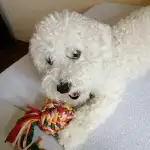 profile placeholder