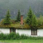 profile placeholder