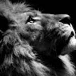 profile placeholder
