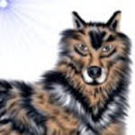 profile placeholder