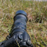 profile placeholder