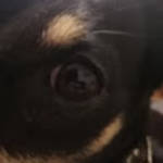 profile placeholder