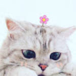 profile placeholder