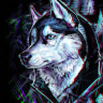 profile placeholder