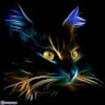 profile placeholder
