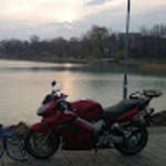 profile placeholder