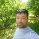 profile placeholder