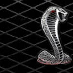 profile placeholder