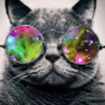 profile placeholder