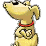 profile placeholder