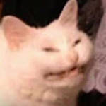 profile placeholder